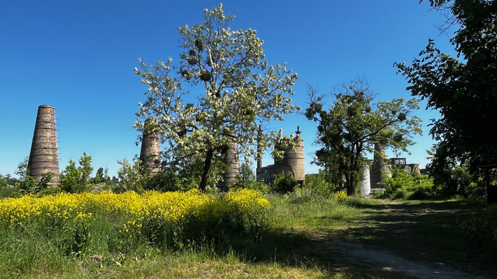 Landschaft um die Schachtofenbatterie
