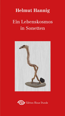 38,00 €