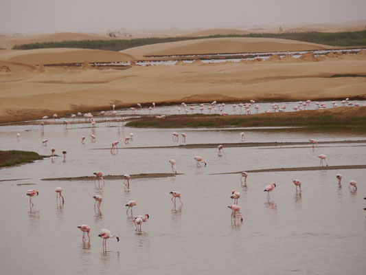 kurz vor Walvis Bay 