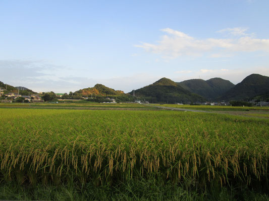 農園の田園風景