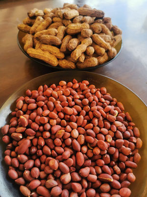 Erdnüsse aus eigener Produktion