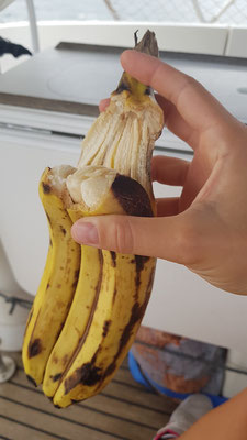 Interessante Banane, garantiert nicht EU genormt