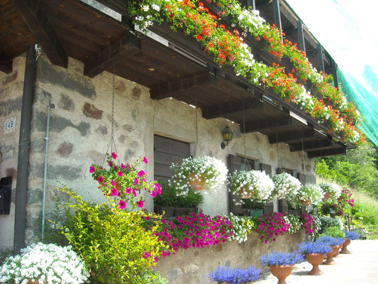 Schöner Blumenschuck an den Häusern