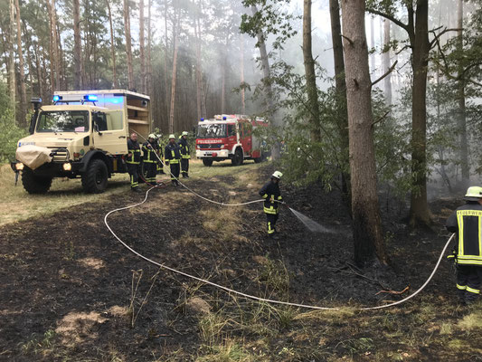 Foto: Kristoph-Felix Piepke