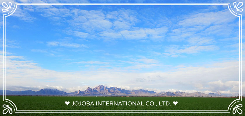 ❦ JOJOBA ♥ Spiritual Beauty ♥ Father's Day 父の日 ♥
