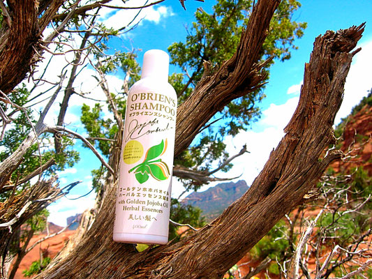 ♔ オブライエンズシャンプー O'BRIEN'S SHAMPOO