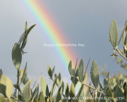 ♔ Happy Thanksgiving Day ♪ JOJOBA INTERNATIONAL CO., LTD.