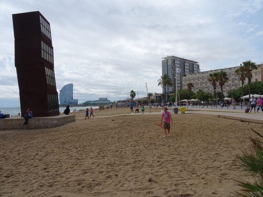 Leo genießt den Strand