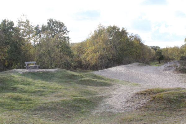 Naturschutzgebiet Zeepeduinen