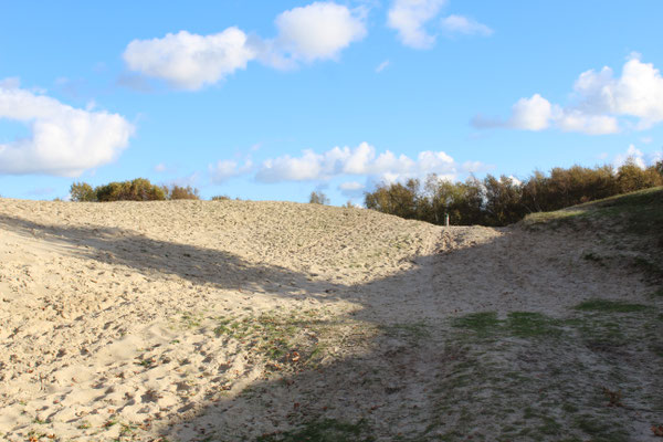 Naturschutzgebiet Zeepeduinen