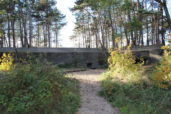 Der Wal - der große Bunker in Burgh-Haamstede