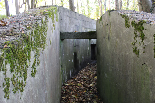 Bunker mitten im Wald