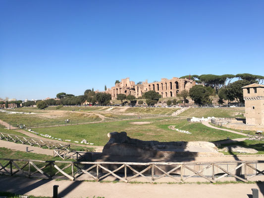 Circus Maximus mit Blick auf das Palatino