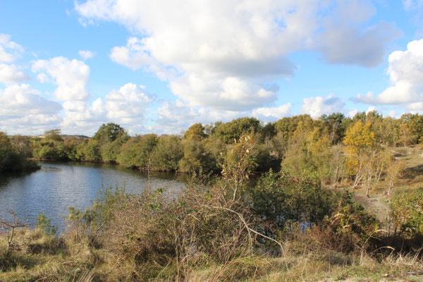 Naturschutzgebiet Zeepeduinen