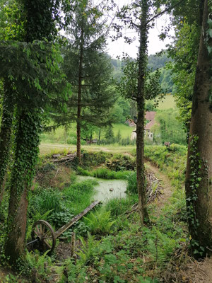 Verwunschener Mühlenteich