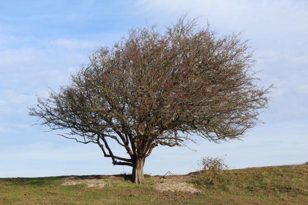 Naturschutzgebiet Oranjezon