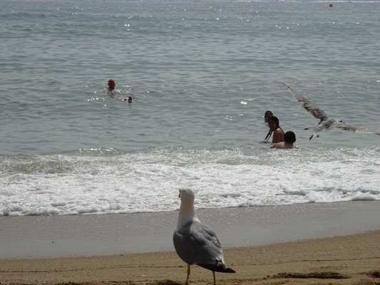 Am Strand