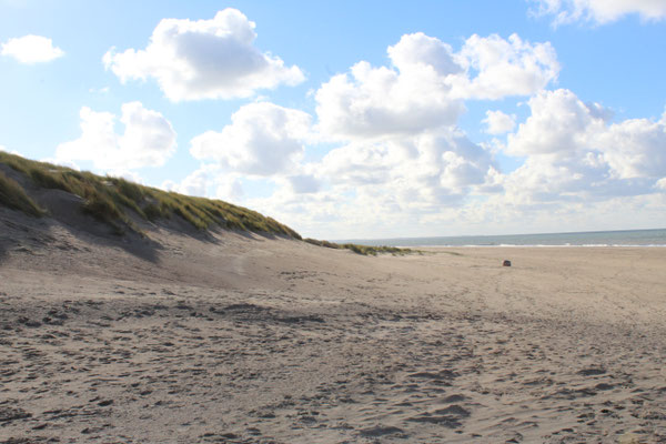 Menschenleerer Strand