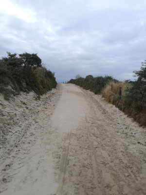 Abendstimmung in Renesse