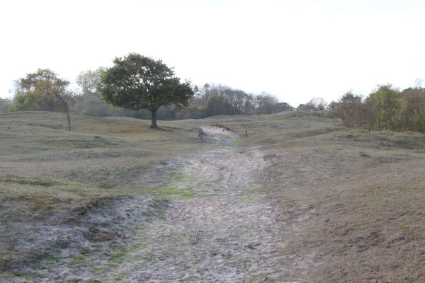 Naturschutzgebiet Oranjezon