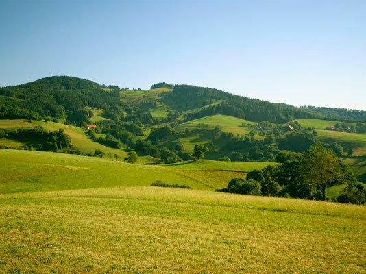 Liebliche Landschaft rund um die Steinmühle