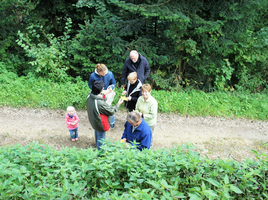 Wildkräuterführungen