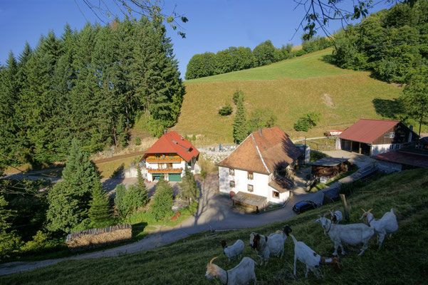Unser Hof
