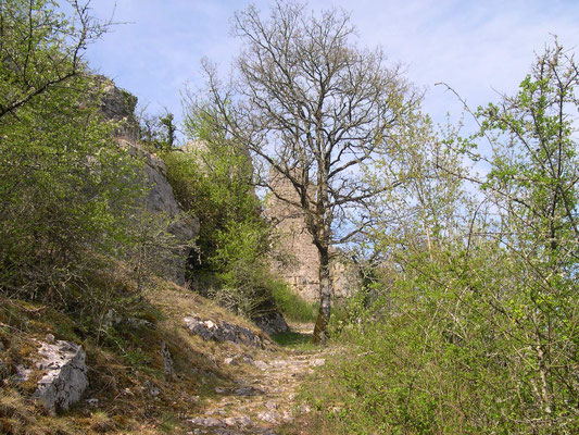Château de Taillefer en vue