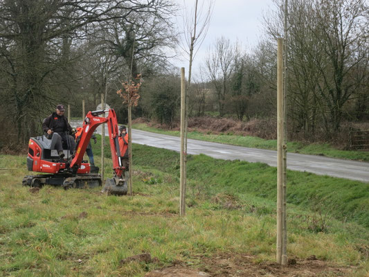 plantation arbustes paysagiste axe Rennes-Vitré-Liffré -Fougères