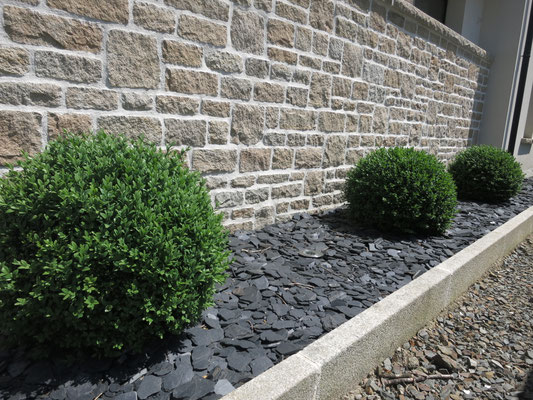 bordure buis ardoise paysagiste 35140 saint aubin du cormier