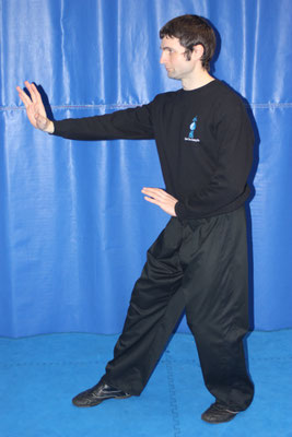 Improve posture with Xingyi santishi