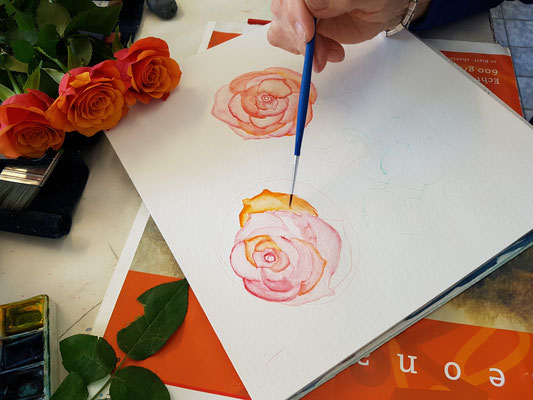 Einfach rosen malen Rosen Bilder