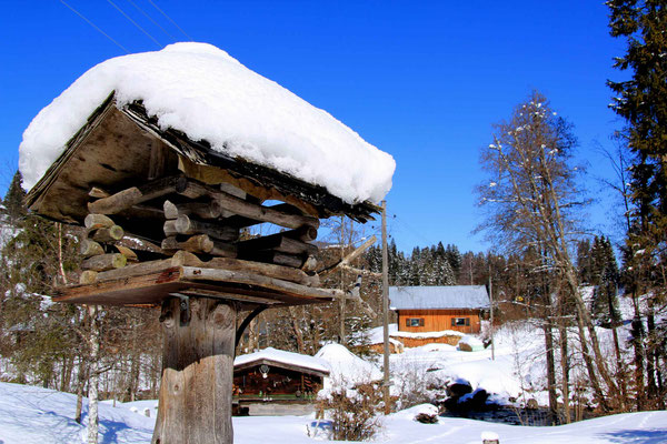 Ferienhaus in Baad im Kleinwalsertal, Mittelberg, Ferienwohnung für 2 bis 6 Personen, Heidi im Tal, Kleinwalsertal Winter