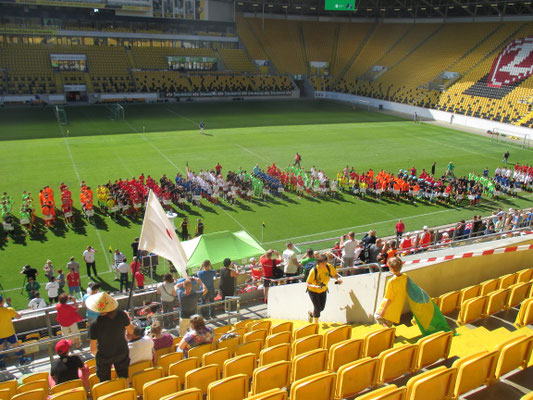 SZ WM im DDV Stadion Dresden am 18.Juni 2017