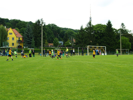 Fußballkleinfeldspiel  F-Mannschaft Juni 2014