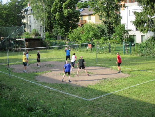 Laufgruppe beim Volleyball im Juni 2016