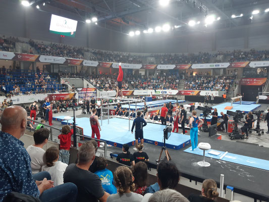 Final 2025 in Dresden