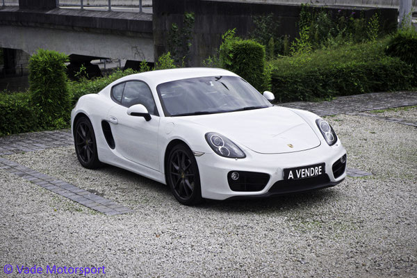 Porsche 981 Cayman