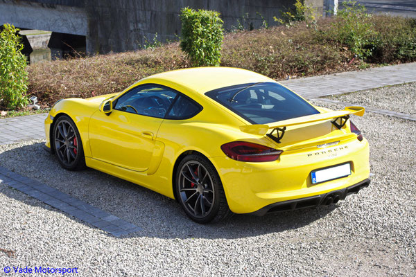 Porsche 981 GT4