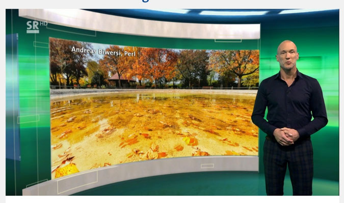 SR vom 29.10.2020