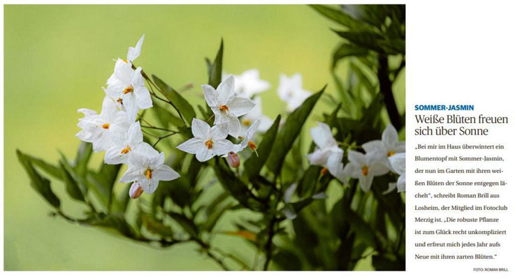 Saarbrücker Zeitung vom 22.06.2020