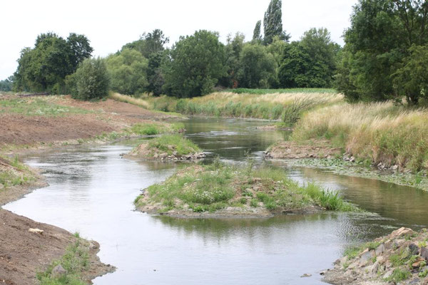 Broschüre "Auenverbund Wetterau" - weidewelts Webseite!