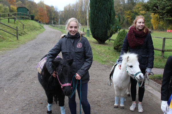 Ponyreiten auf den Shetland Ponys