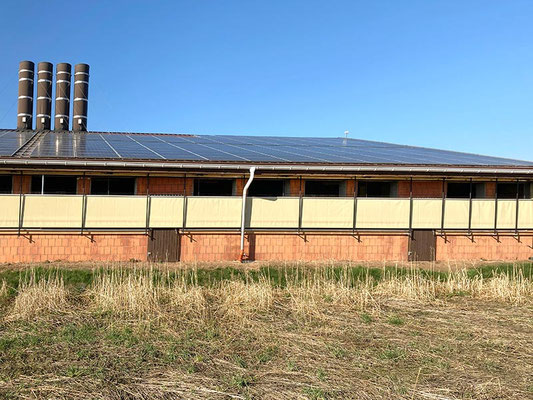 Abluftkamine bei einem Warmstall mit Außenklimareiz