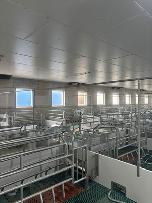Neubau eines Tierwohlstalls