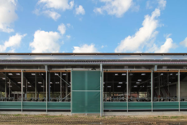 Steuerbare Curtains im Rinderstall