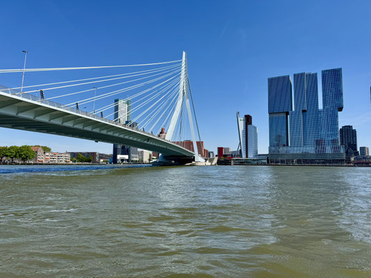 Rheinkreuzfahrt nach Rotterdam - Betriebsaufsflug MENKEN | DREES