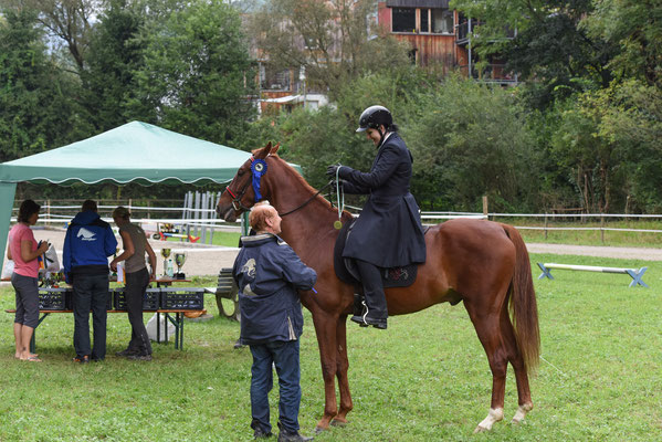 Siegerehrung - 1. Platz Dressur, 1. Platz T7, 1. Platz V5