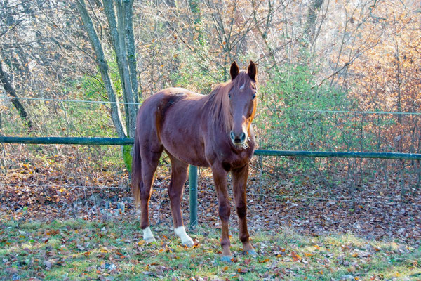 Herbst 2011