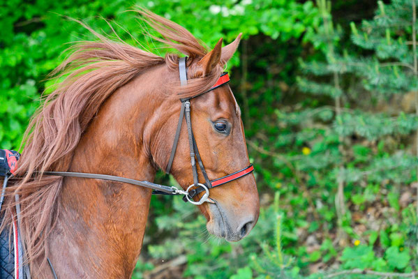 Frühjahr 2012